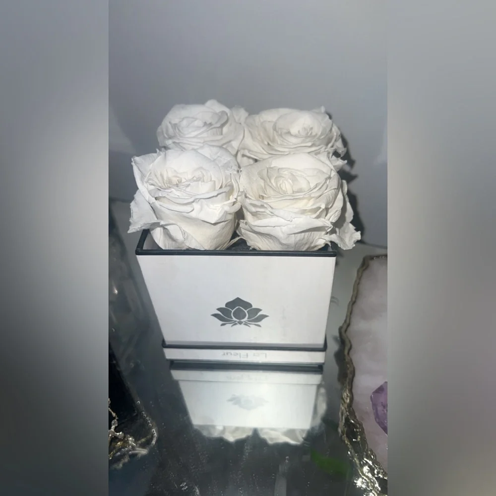 White Preserved Roses in Elegant Box